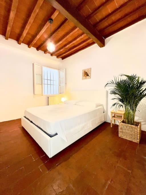 Apartamento Casa Centro Firenze Wi Fi Aria Condizionata Netflix Exterior foto