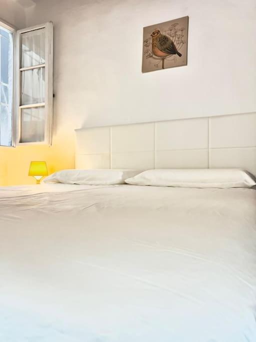 Apartamento Casa Centro Firenze Wi Fi Aria Condizionata Netflix Exterior foto